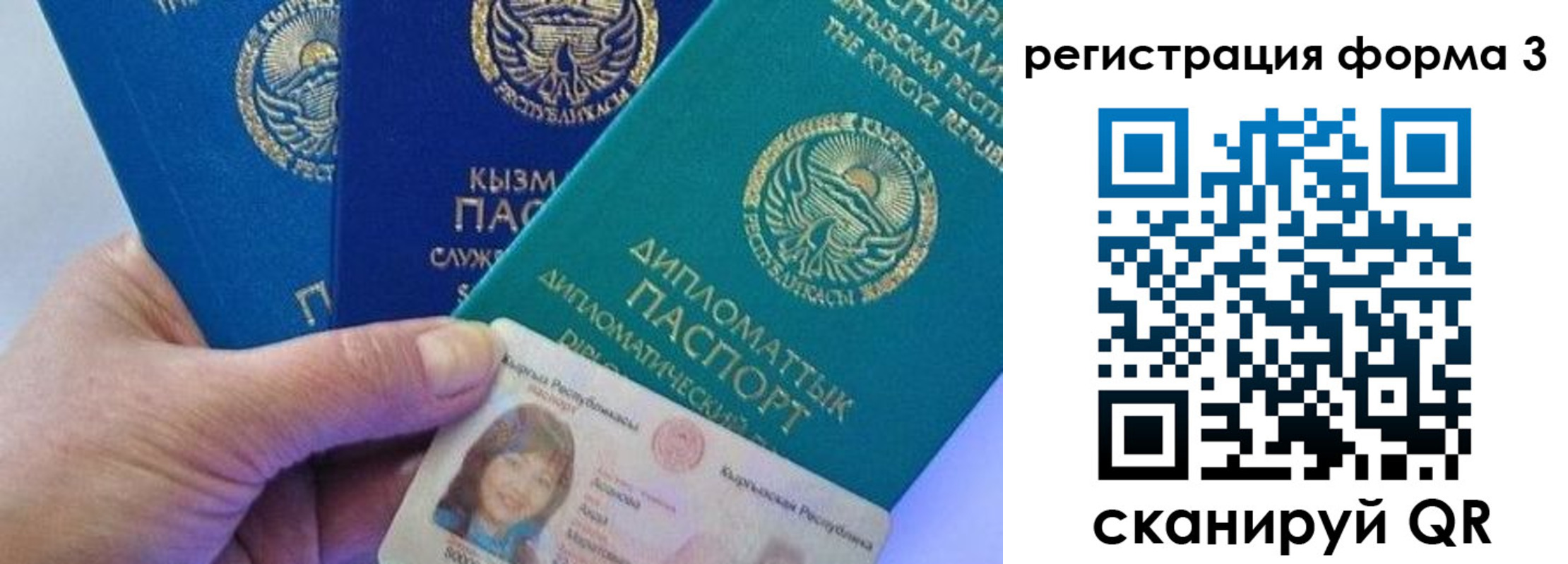 миграционный учет в Курской области