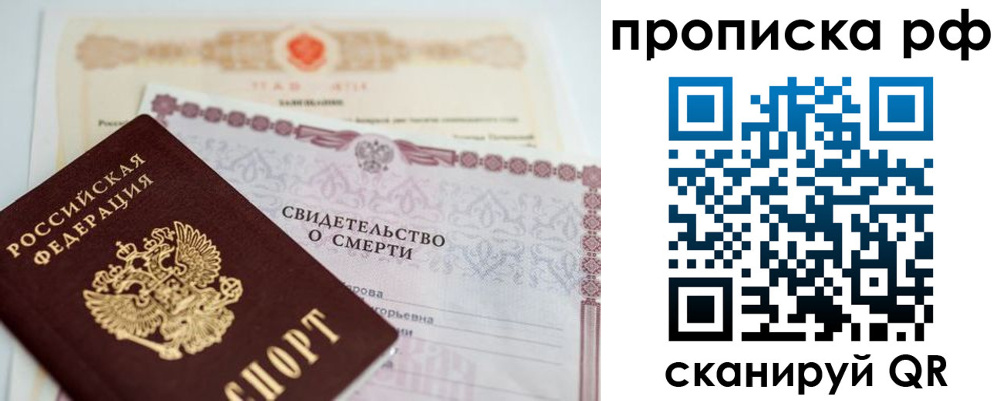 регистрация в Курской области